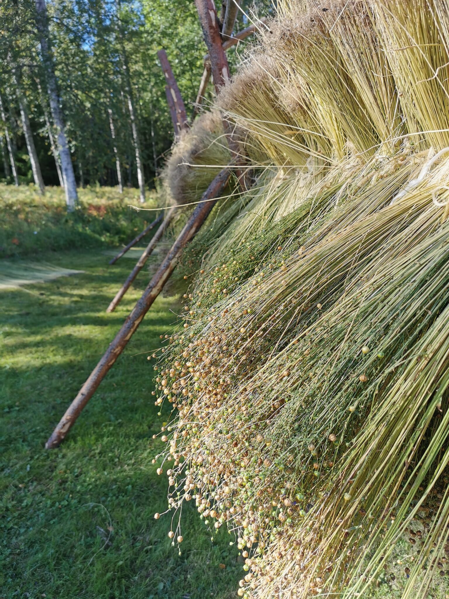 Hemslöjdsguiden » Lin